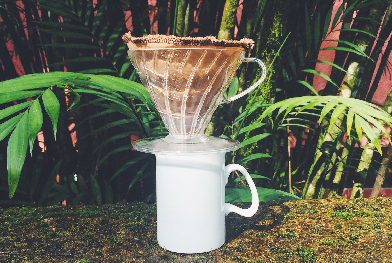 Hario V60 Coffee Dripper with a Coffeesock filter and coffee beans by Haciendo Coffee Roasters